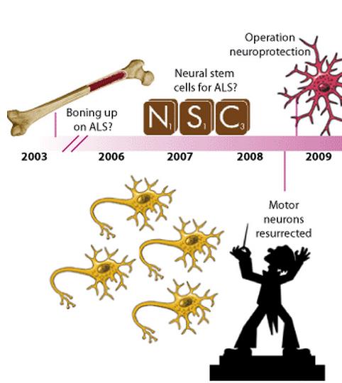 stem cell induced pluripotent iPS ALS Neuralstem Brainstorm Q Therapeutics Corestem